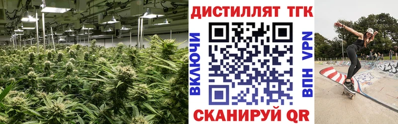 Дистиллят ТГК вейп где можно купить наркотик Сенгилей